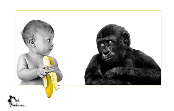 Image du Blog mariecha.centerblog.net