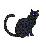 chat noir scintillant