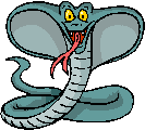 serpent naja