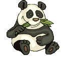 panda mange